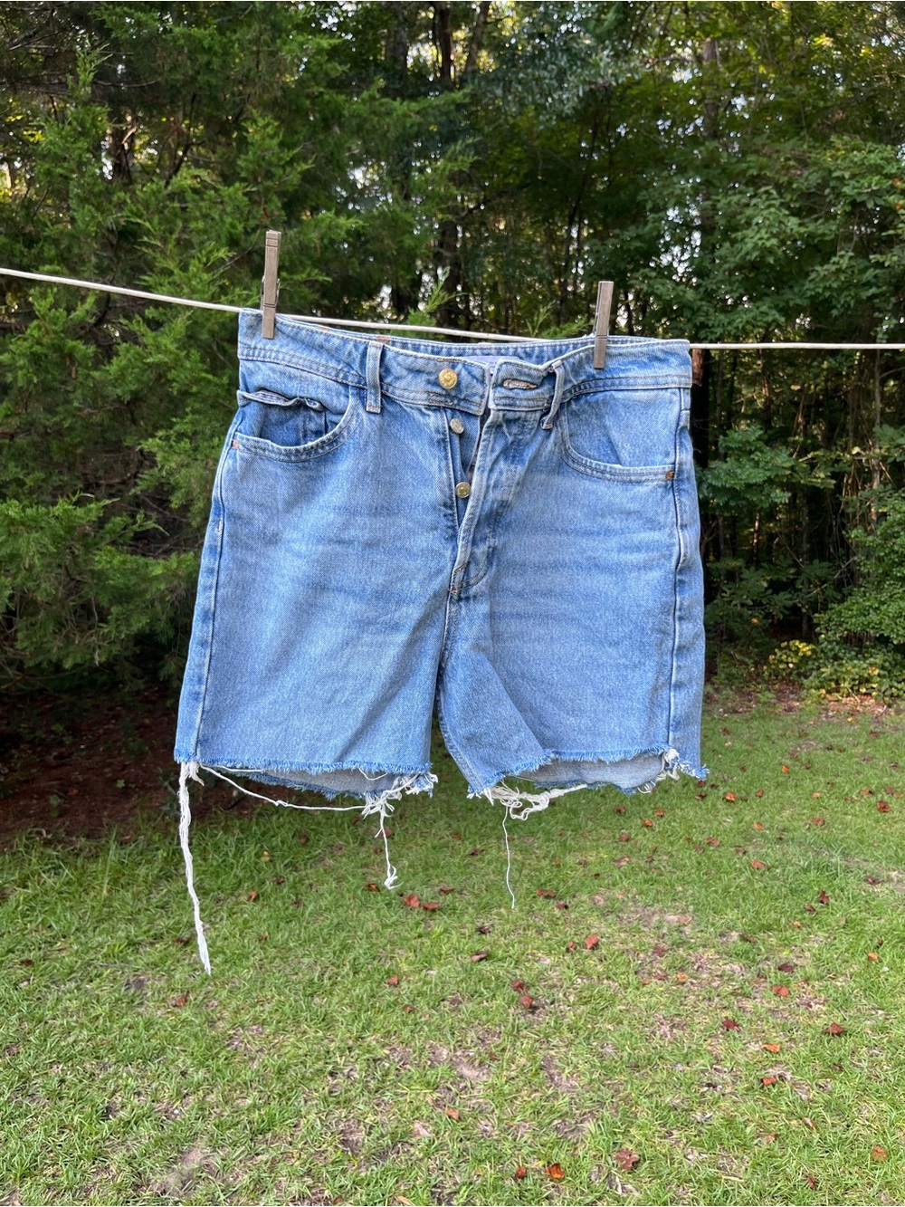 Zara Light Blue Frayed Denim Shorts
